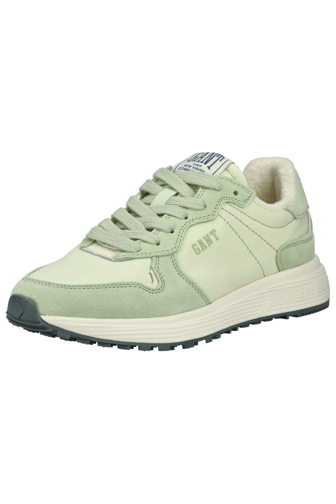 Shoe