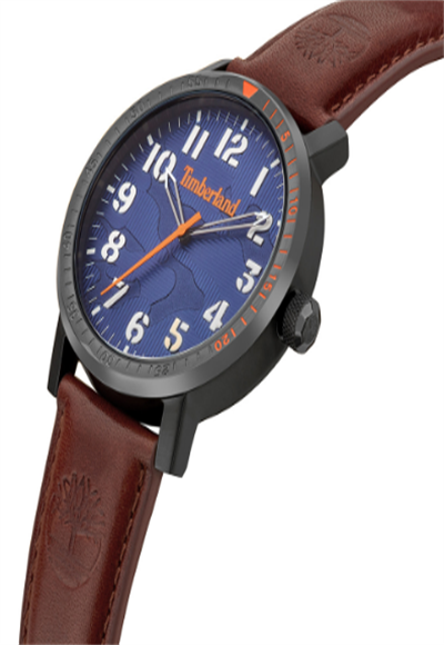 wristwatch