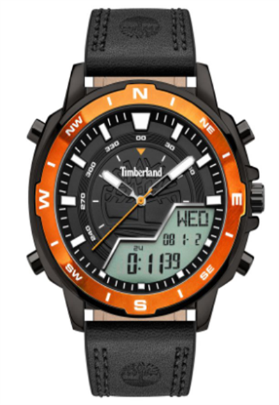 wristwatch