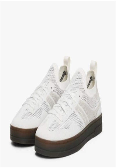 Shoe