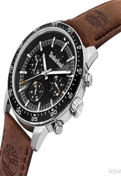 wristwatch