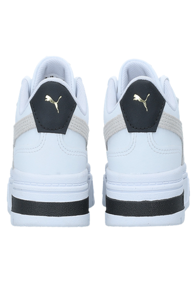 Static Shoe