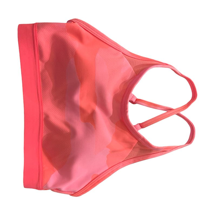 sport bra