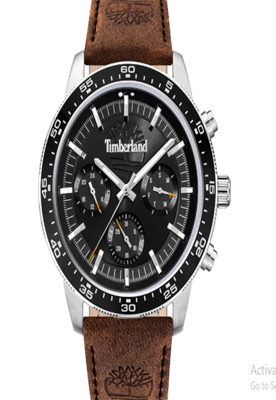 wristwatch
