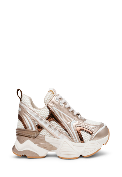 Shoe