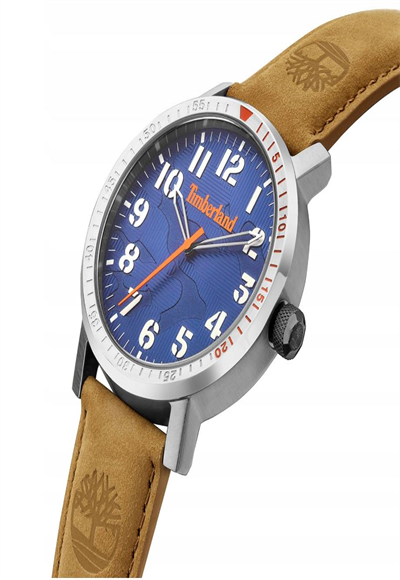 wristwatch