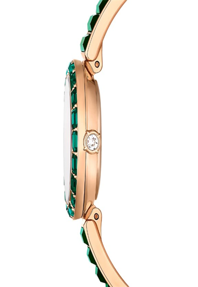 Distinctive watch