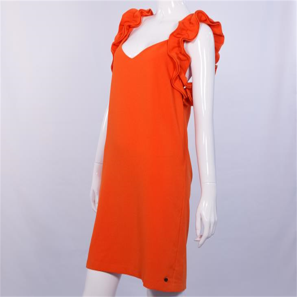 Ruffled Dress