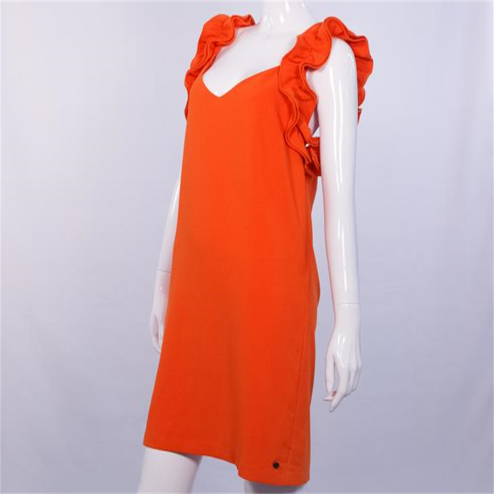 Ruffled Dress