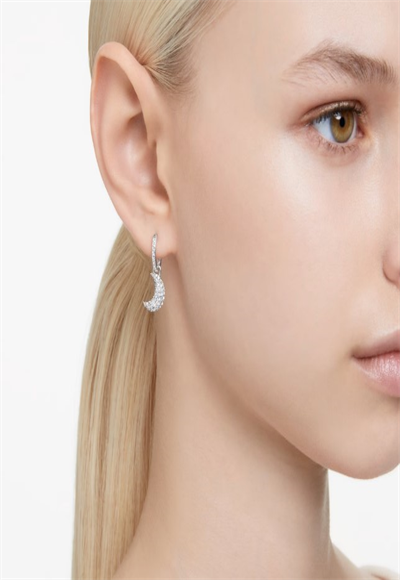 Moon Earrings