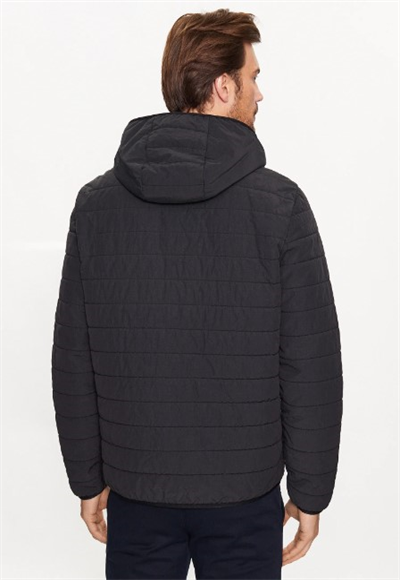 winter jacket