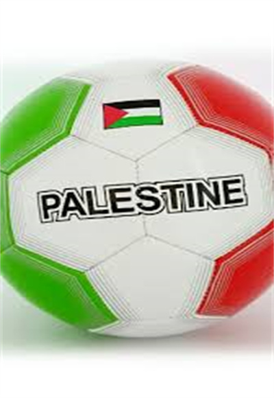كرة قدم فلسطين