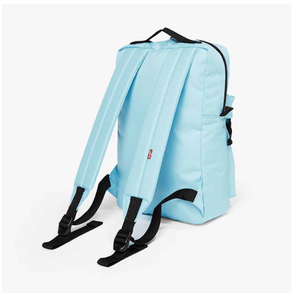 small bag