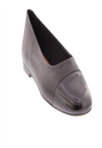 shoe