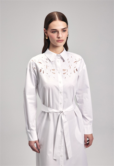 embroidered dress