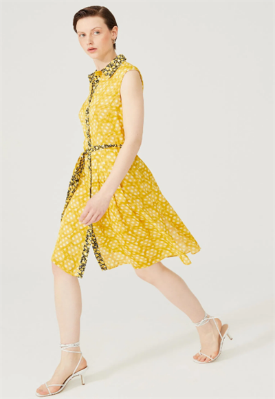 Women's dress