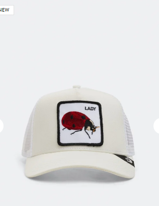 THE LADY BUG