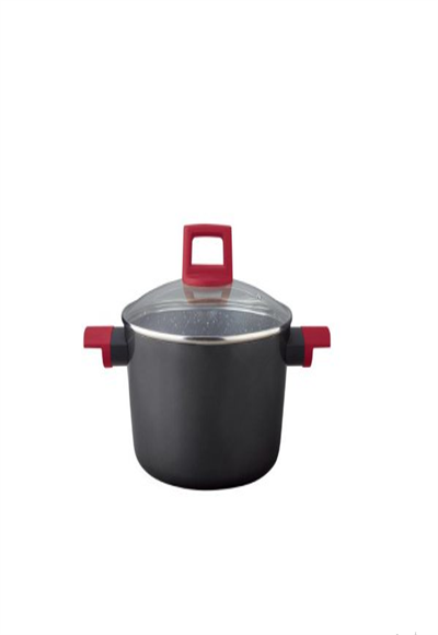 Pot 2.9 liters