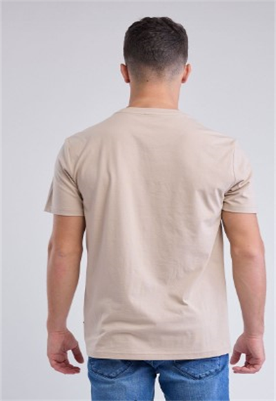 تيشيرت