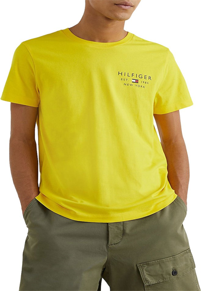 TOMMY HILFIGER|men-clothing