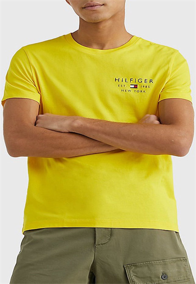 TOMMY HILFIGER|men-clothing