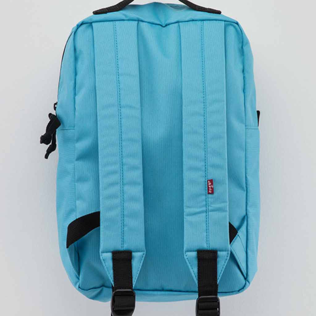 small bag
