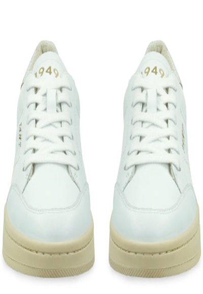 Shoe