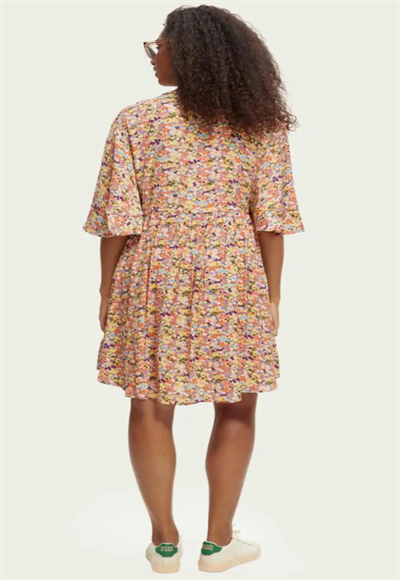 DREES