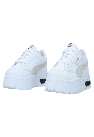 Static Shoe