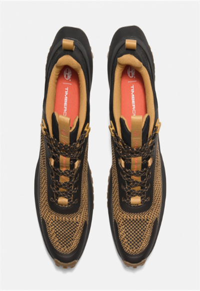 Shoe
