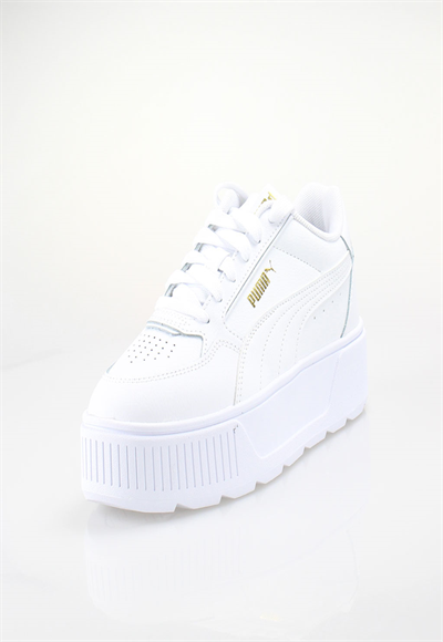 Shoe